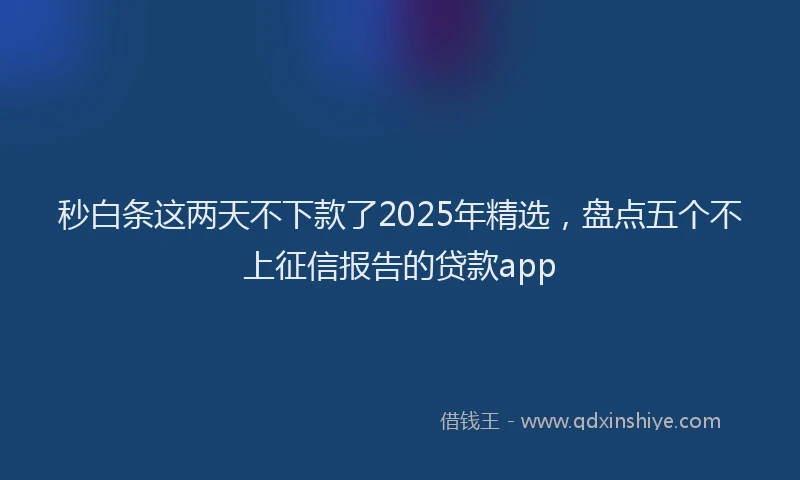 秒白条这两天不下款了2025年精选，盘点五个不上征信报告的贷款app