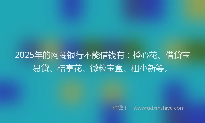 2025年的网商银行不能借钱有：橙心花、借贷宝易贷、桔享花、微粒宝盒、租小新等。