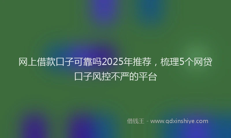 网上借款口子可靠吗2025年推荐，梳理5个网贷口子风控不严的平台