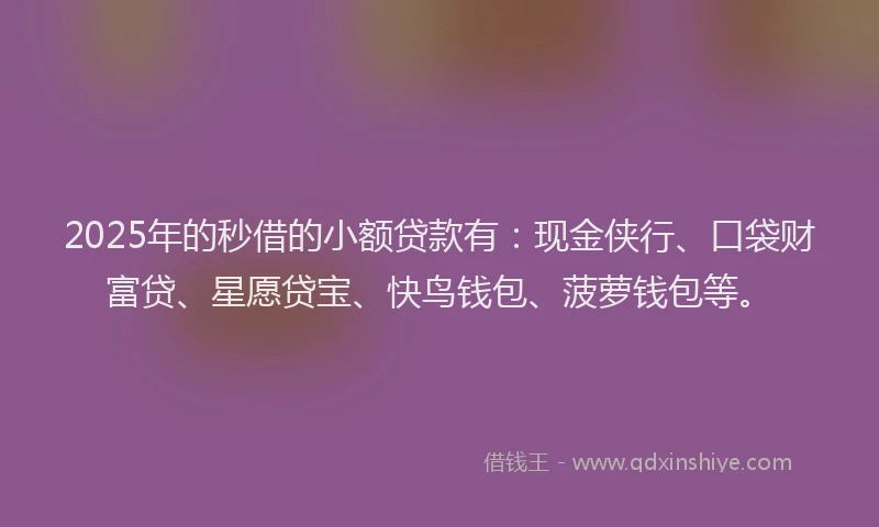 2025年的秒借的小额贷款有：现金侠行、口袋财富贷、星愿贷宝、快鸟钱包、菠萝钱包等。