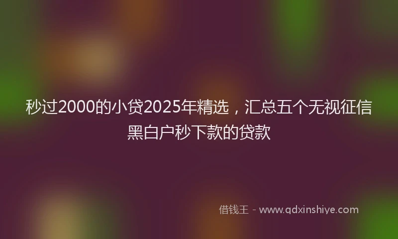秒过2000的小贷2025年精选，汇总五个无视征信黑白户秒下款的贷款