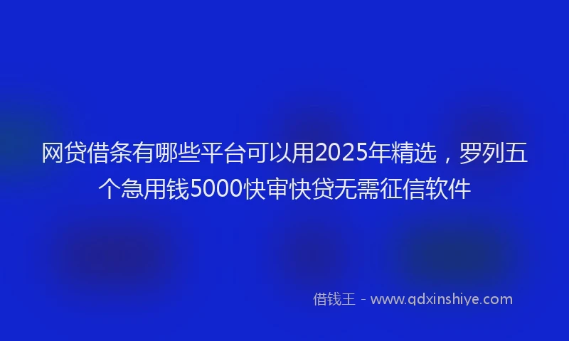 网贷借条有哪些平台可以用2025年精选，罗列五个急用钱5000快审快贷无需征信软件