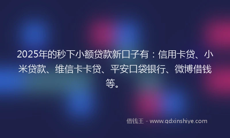 2025年的秒下小额贷款新口子有：信用卡贷、小米贷款、维信卡卡贷、平安口袋银行、微博借钱等。