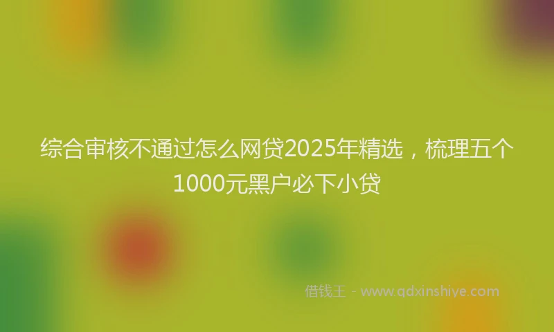 综合审核不通过怎么网贷2025年精选，梳理五个1000元黑户必下小贷