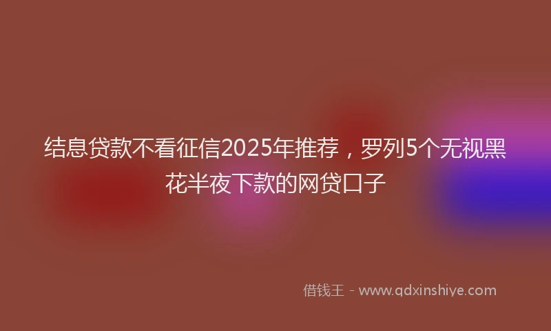 结息贷款不看征信2025年推荐，罗列5个无视黑花半夜下款的网贷口子