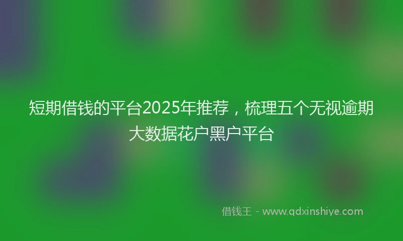 短期借钱的平台2025年推荐，梳理五个无视逾期大数据花户黑户平台