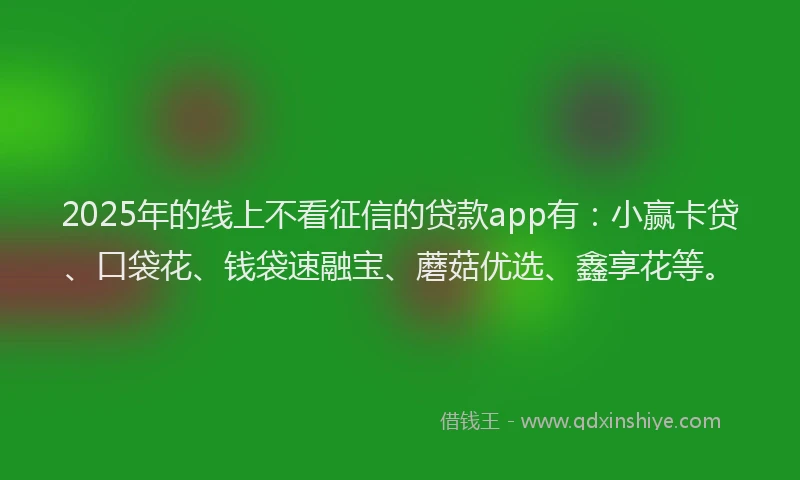 2025年的线上不看征信的贷款app有：小赢卡贷、口袋花、钱袋速融宝、蘑菇优选、鑫享花等。