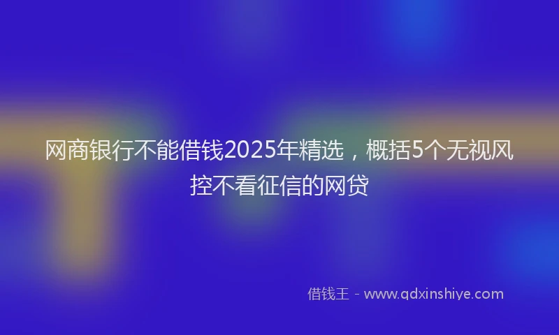 网商银行不能借钱2025年精选，概括5个无视风控不看征信的网贷