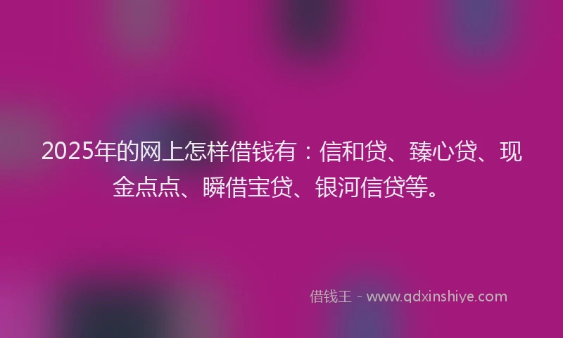 2025年的网上怎样借钱有：信和贷、臻心贷、现金点点、瞬借宝贷、银河信贷等。