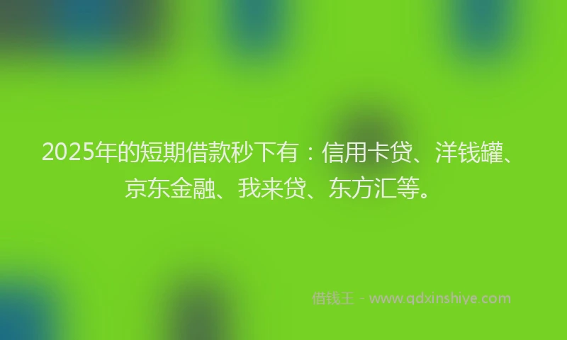 2025年的短期借款秒下有：信用卡贷、洋钱罐、京东金融、我来贷、东方汇等。