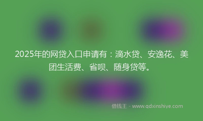 2025年的网贷入口申请有：滴水贷、安逸花、美团生活费、省呗、随身贷等。