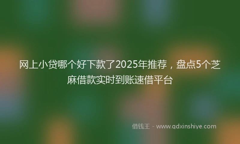 网上小贷哪个好下款了2025年推荐，盘点5个芝麻借款实时到账速借平台