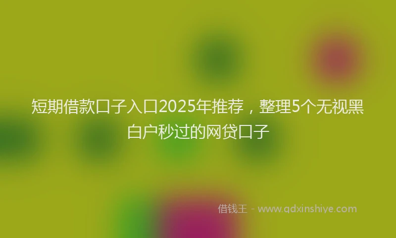 短期借款口子入口2025年推荐，整理5个无视黑白户秒过的网贷口子