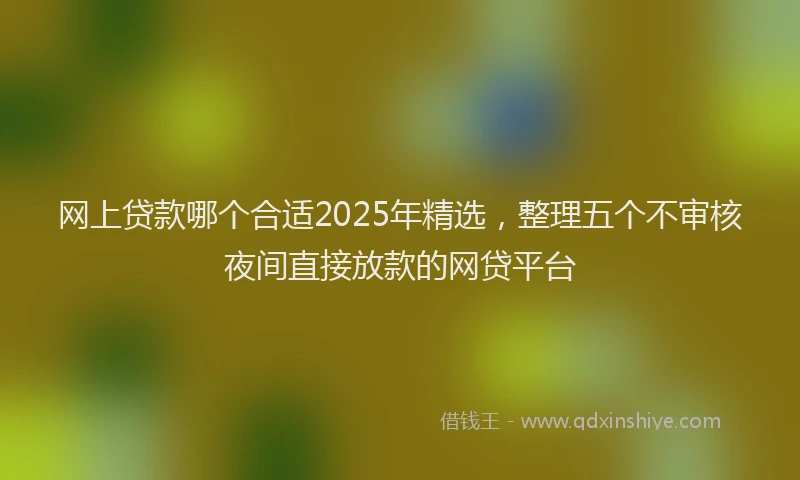 网上贷款哪个合适2025年精选，整理五个不审核夜间直接放款的网贷平台