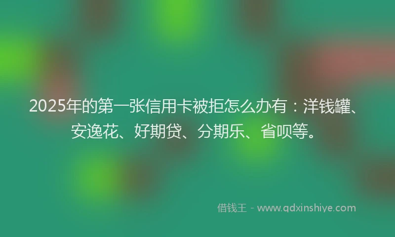 2025年的第一张信用卡被拒怎么办有：洋钱罐、安逸花、好期贷、分期乐、省呗等。