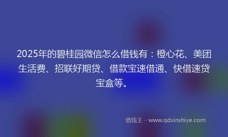 2025年的碧桂园微信怎么借钱有：橙心花、美团生活费、招联好期贷、借款宝速借通、快借速贷宝盒等。