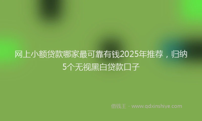 网上小额贷款哪家最可靠有钱2025年推荐，归纳5个无视黑白贷款口子