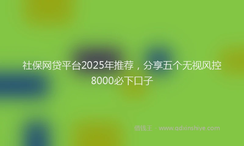 社保网贷平台2025年推荐，分享五个无视风控8000必下口子