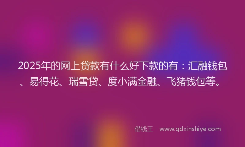 2025年的网上贷款有什么好下款的有：汇融钱包、易得花、瑞雪贷、度小满金融、飞猪钱包等。