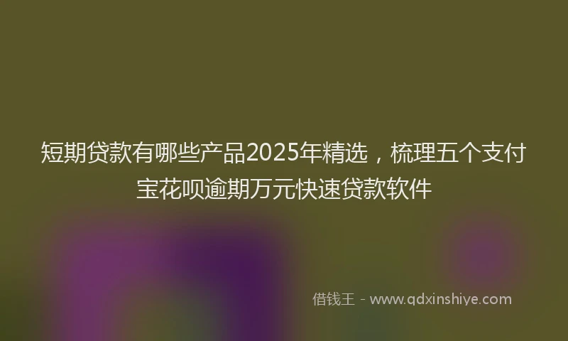短期贷款有哪些产品2025年精选，梳理五个支付宝花呗逾期万元快速贷款软件