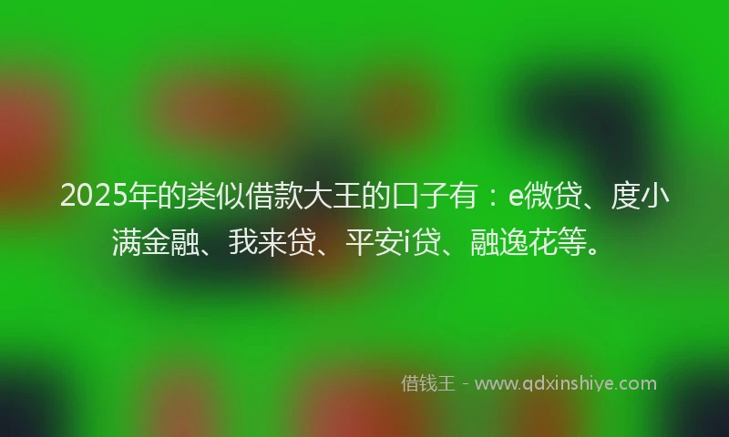 2025年的类似借款大王的口子有：e微贷、度小满金融、我来贷、平安i贷、融逸花等。