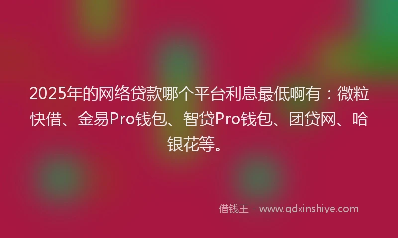 2025年的网络贷款哪个平台利息最低啊有：微粒快借、金易Pro钱包、智贷Pro钱包、团贷网、哈银花等。