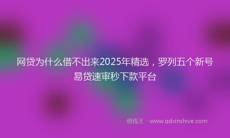 网贷为什么借不出来2025年精选，罗列五个新号易贷速审秒下款平台