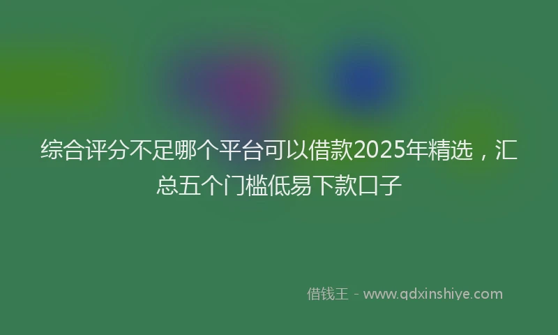 综合评分不足哪个平台可以借款2025年精选，汇总五个门槛低易下款口子