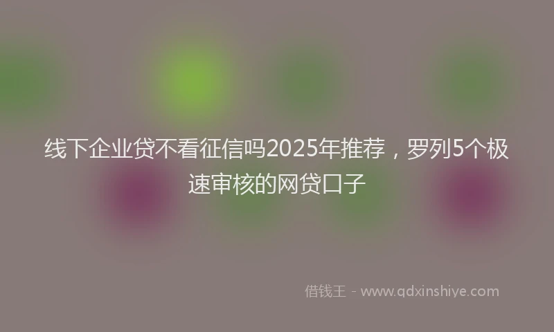 线下企业贷不看征信吗2025年推荐，罗列5个极速审核的网贷口子