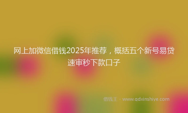 网上加微信借钱2025年推荐，概括五个新号易贷速审秒下款口子