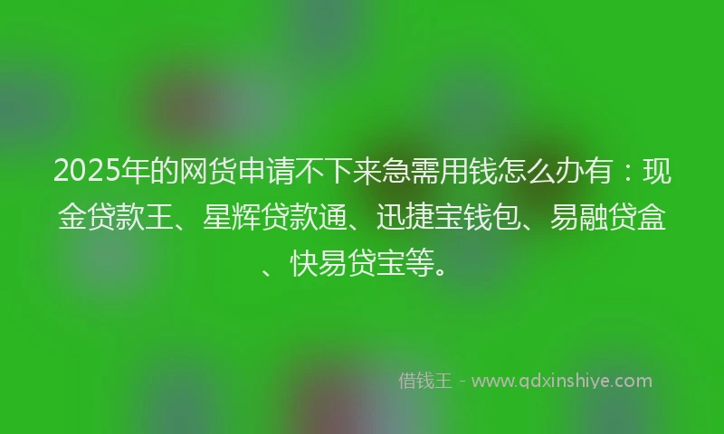 2025年的网货申请不下来急需用钱怎么办有：现金贷款王、星辉贷款通、迅捷宝钱包、易融贷盒、快易贷宝等。