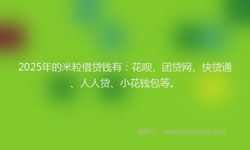 2025年的米粒借贷钱有：花呗、团贷网、快贷通、人人贷、小花钱包等。