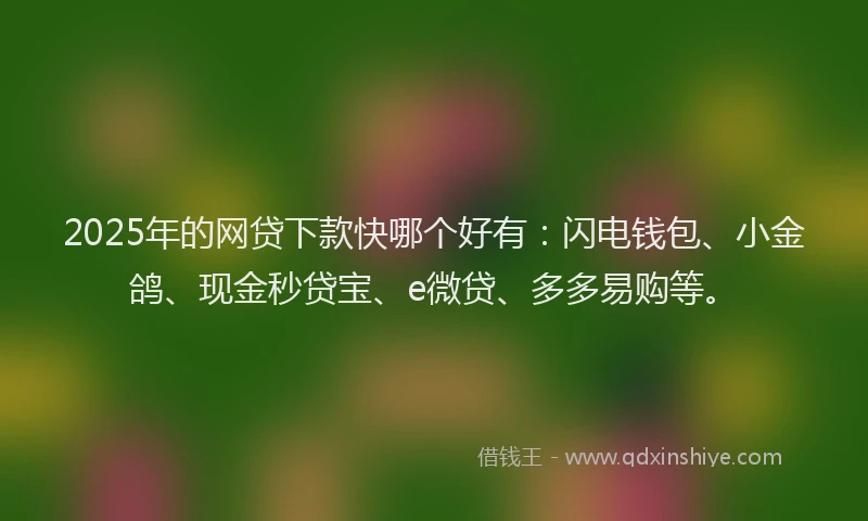 2025年的网贷下款快哪个好有：闪电钱包、小金鸽、现金秒贷宝、e微贷、多多易购等。