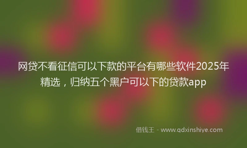 网贷不看征信可以下款的平台有哪些软件2025年精选，归纳五个黑户可以下的贷款app