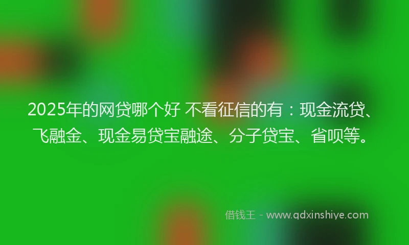 2025年的网贷哪个好 不看征信的有：现金流贷、飞融金、现金易贷宝融途、分子贷宝、省呗等。