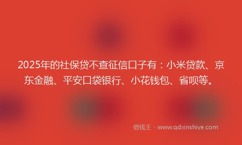 2025年的社保贷不查征信口子有：小米贷款、京东金融、平安口袋银行、小花钱包、省呗等。
