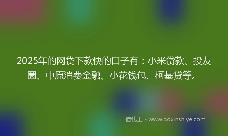 2025年的网贷下款快的口子有：小米贷款、投友圈、中原消费金融、小花钱包、柯基贷等。