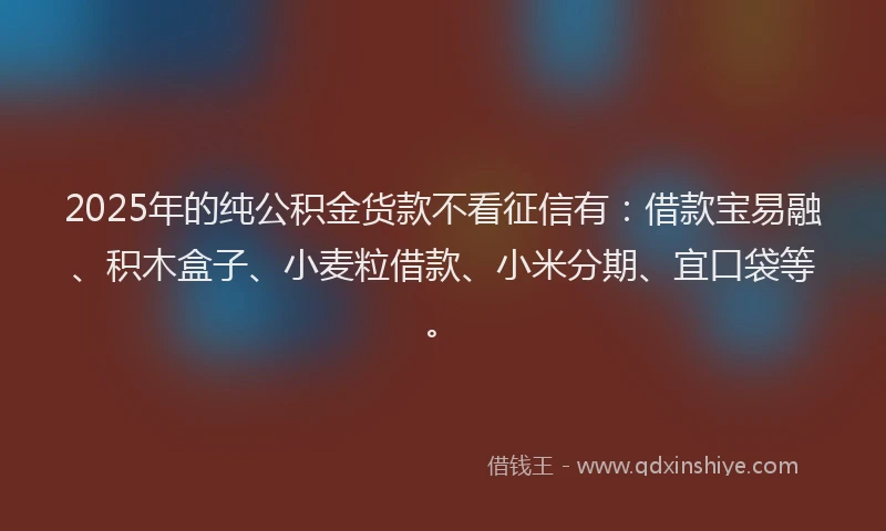 2025年的纯公积金货款不看征信有：借款宝易融、积木盒子、小麦粒借款、小米分期、宜口袋等。