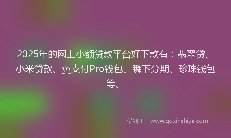 2025年的网上小额贷款平台好下款有：翡翠贷、小米贷款、翼支付Pro钱包、瞬下分期、珍珠钱包等。