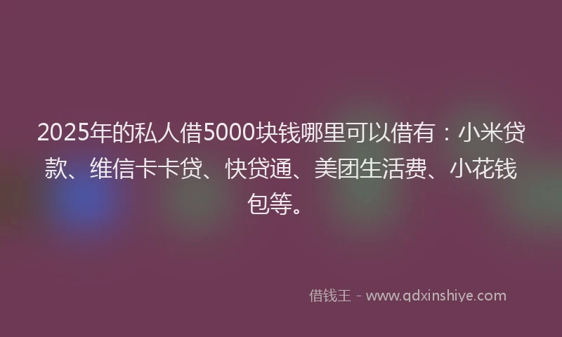 2025年的私人借5000块钱哪里可以借有：小米贷款、维信卡卡贷、快贷通、美团生活费、小花钱包等。