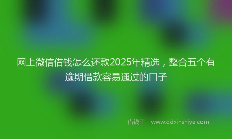 网上微信借钱怎么还款2025年精选，整合五个有逾期借款容易通过的口子
