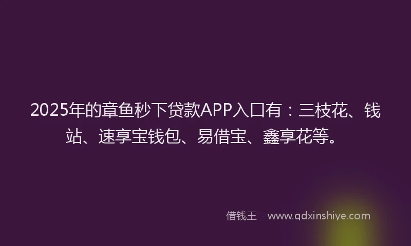 2025年的章鱼秒下贷款APP入口有：三枝花、钱站、速享宝钱包、易借宝、鑫享花等。