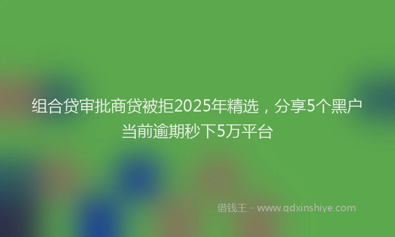 组合贷审批商贷被拒2025年精选，分享5个黑户当前逾期秒下5万平台