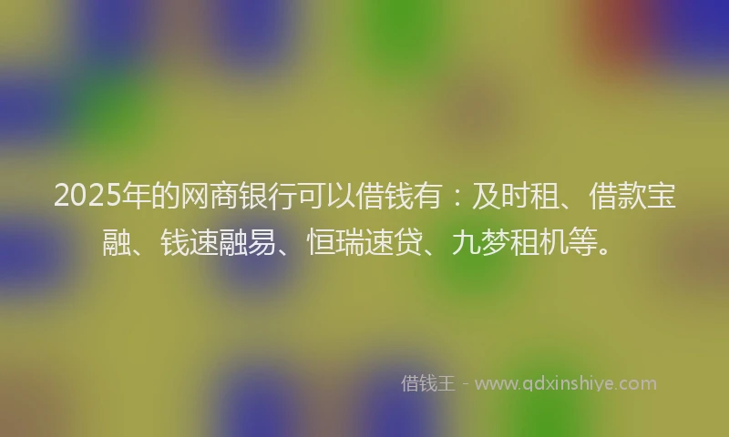 2025年的网商银行可以借钱有：及时租、借款宝融、钱速融易、恒瑞速贷、九梦租机等。