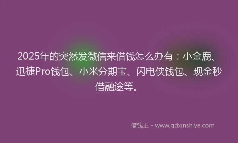 2025年的突然发微信来借钱怎么办有：小金鹿、迅捷Pro钱包、小米分期宝、闪电侠钱包、现金秒借融途等。