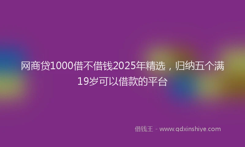 网商贷1000借不借钱2025年精选，归纳五个满19岁可以借款的平台