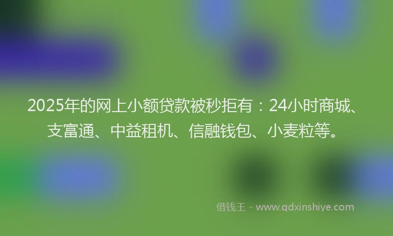 2025年的网上小额贷款被秒拒有：24小时商城、支富通、中益租机、信融钱包、小麦粒等。