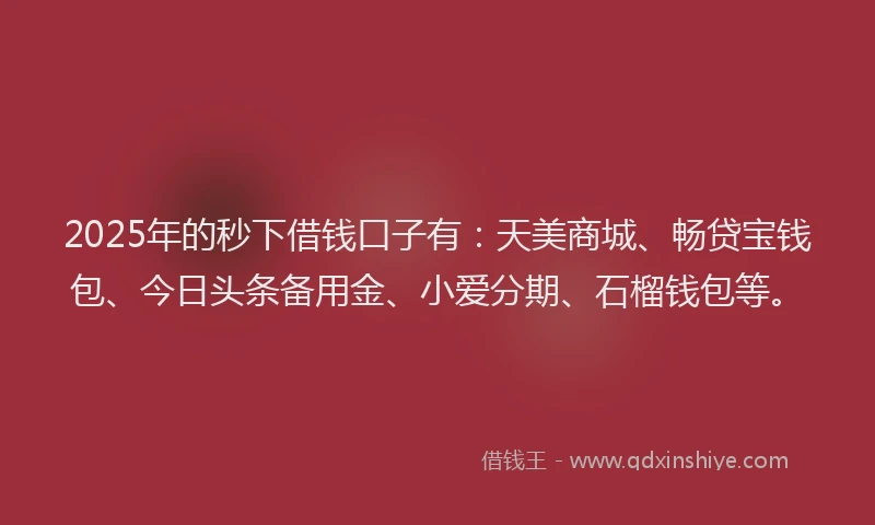 2025年的秒下借钱口子有：天美商城、畅贷宝钱包、今日头条备用金、小爱分期、石榴钱包等。