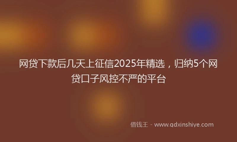网贷下款后几天上征信2025年精选，归纳5个网贷口子风控不严的平台