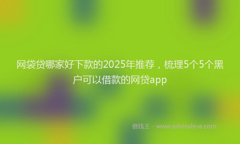 网袋贷哪家好下款的2025年推荐，梳理5个5个黑户可以借款的网贷app